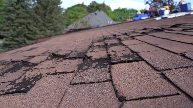 Best Cold Roofs  in Orleans, IN